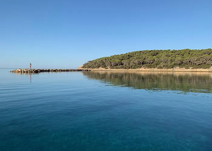 Aquamarina Pintadera Blu & 4*